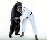 Valentin et teddy Riner