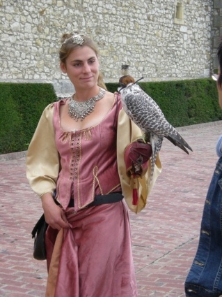 Spectacle de rapaces
